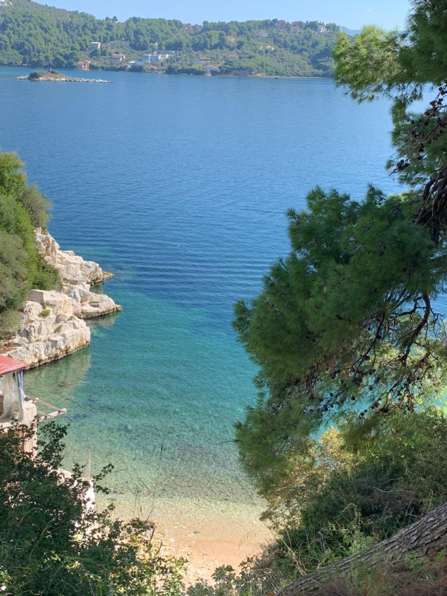 Okeanos Apartment Skiathos Town Bagian luar foto
